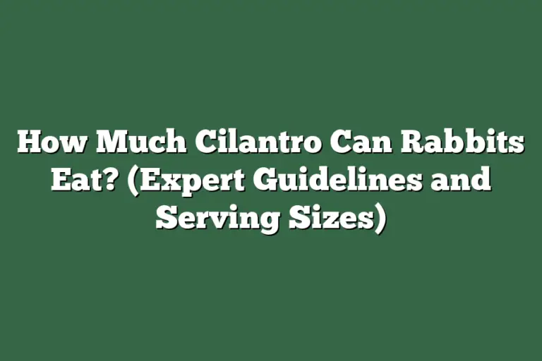 How Much Cilantro Can Rabbits Eat? (Expert Guidelines and Serving Sizes ...