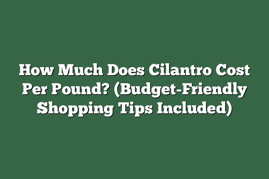 How Much Does Cilantro Cost Per Pound? (Budget-Friendly Shopping Tips Included)