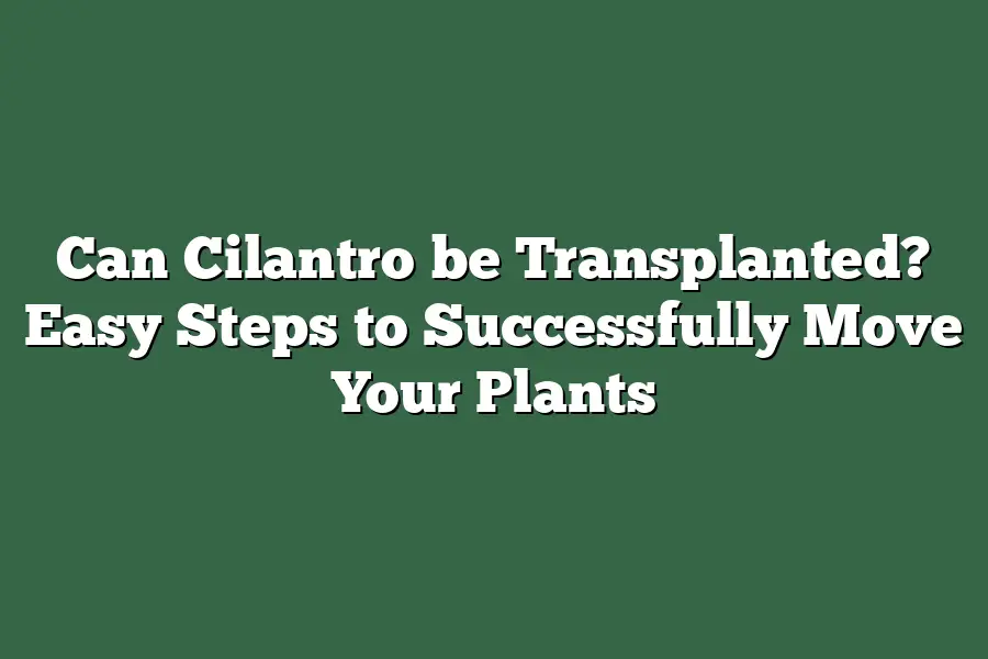 Can Cilantro be Transplanted? Easy Steps to Successfully Move Your Plants