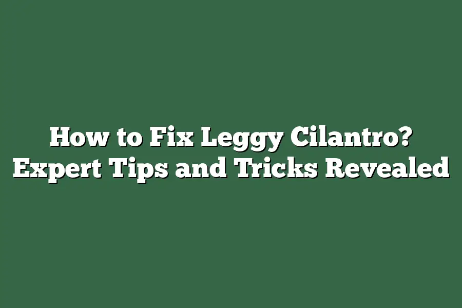 How to Fix Leggy Cilantro? Expert Tips and Tricks Revealed