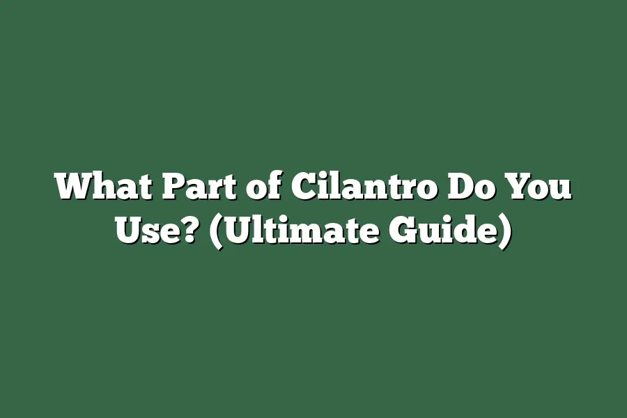 What Part of Cilantro Do You Use? (Ultimate Guide)