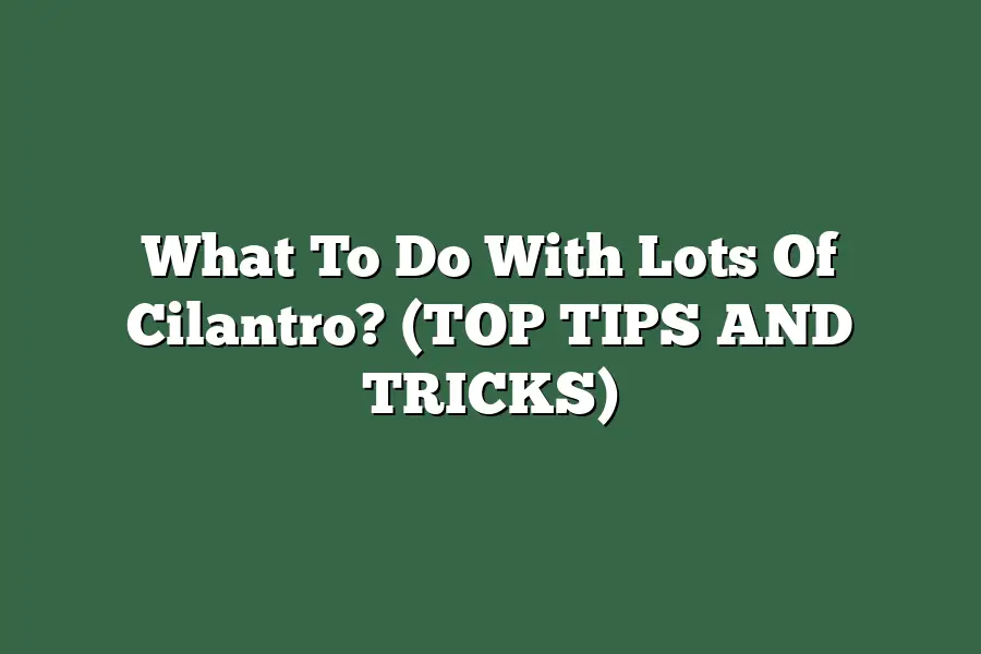 What To Do With Lots Of Cilantro? (TOP TIPS AND TRICKS)