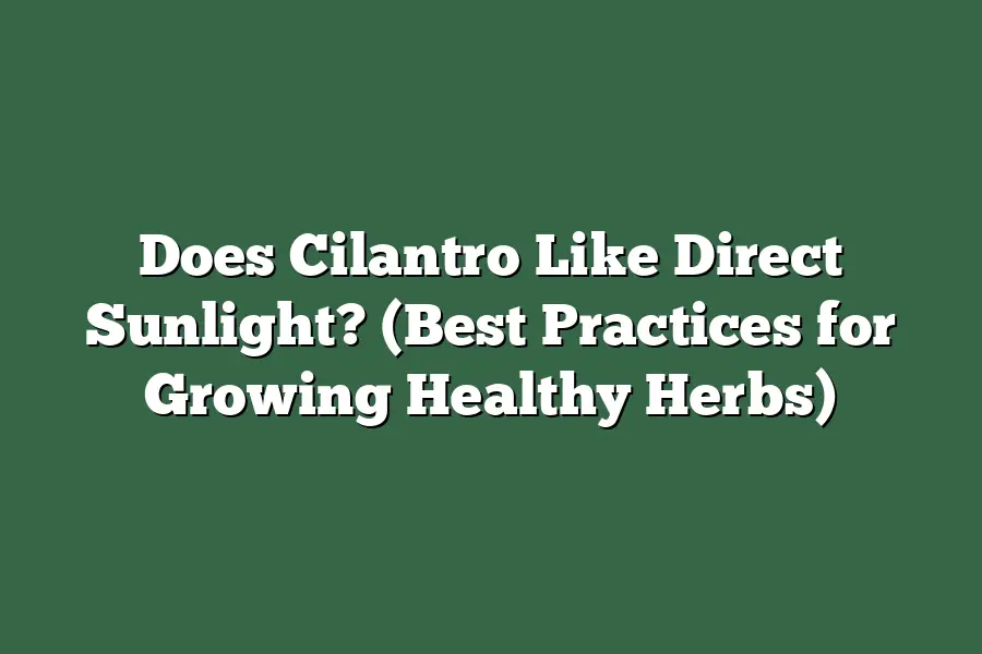 Does Cilantro Like Direct Sunlight? (Best Practices for Growing Healthy Herbs)