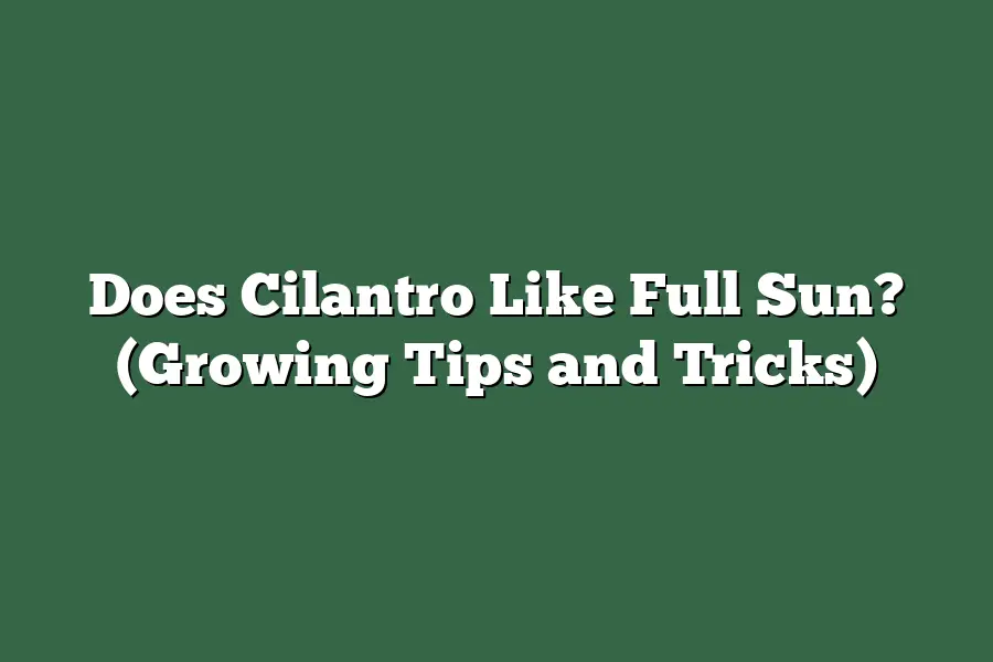 Does Cilantro Like Full Sun? (Growing Tips and Tricks)