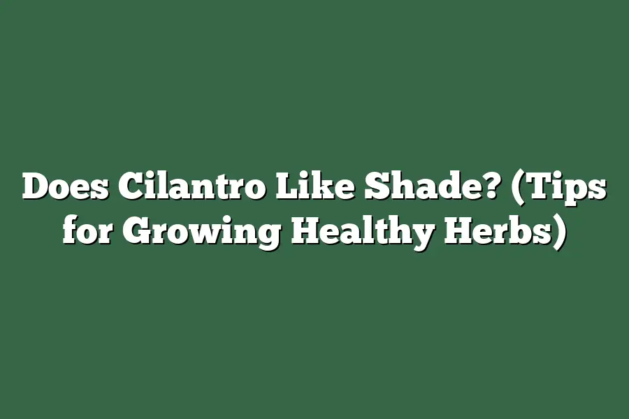 Does Cilantro Like Shade? (Tips for Growing Healthy Herbs)