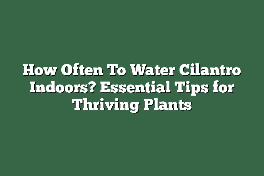 How Often To Water Cilantro Indoors? Essential Tips for Thriving Plants