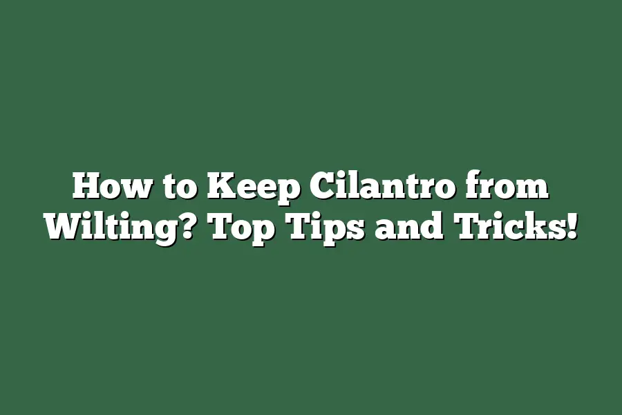 How to Keep Cilantro from Wilting? Top Tips and Tricks!