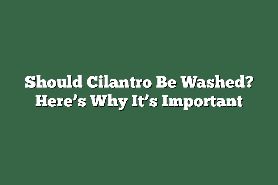 Should Cilantro Be Washed? Here’s Why It’s Important
