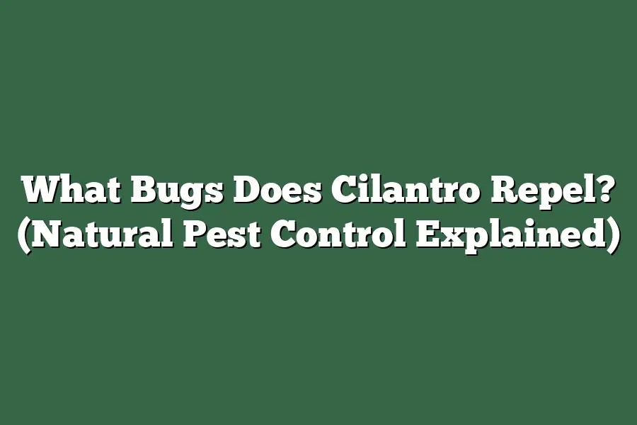 What Bugs Does Cilantro Repel? (Natural Pest Control Explained)