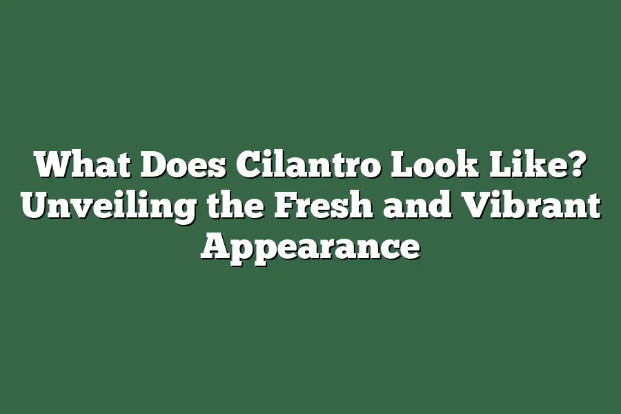 What Does Cilantro Look Like? Unveiling the Fresh and Vibrant Appearance