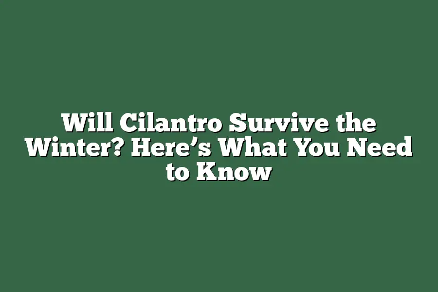 Will Cilantro Survive the Winter? Here’s What You Need to Know