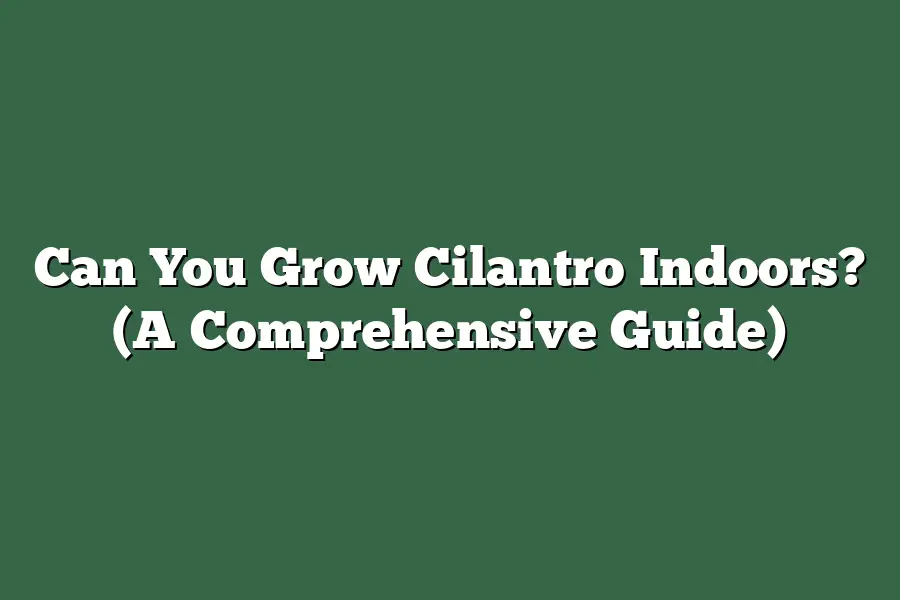 Can You Grow Cilantro Indoors? (A Comprehensive Guide)