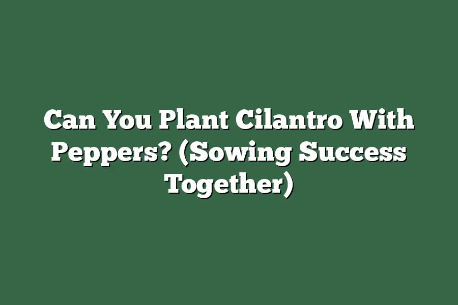 Can You Plant Cilantro With Peppers?  (Sowing Success Together)