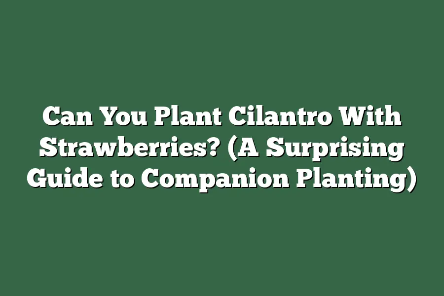 Can You Plant Cilantro With Strawberries?  (A Surprising Guide to Companion Planting)