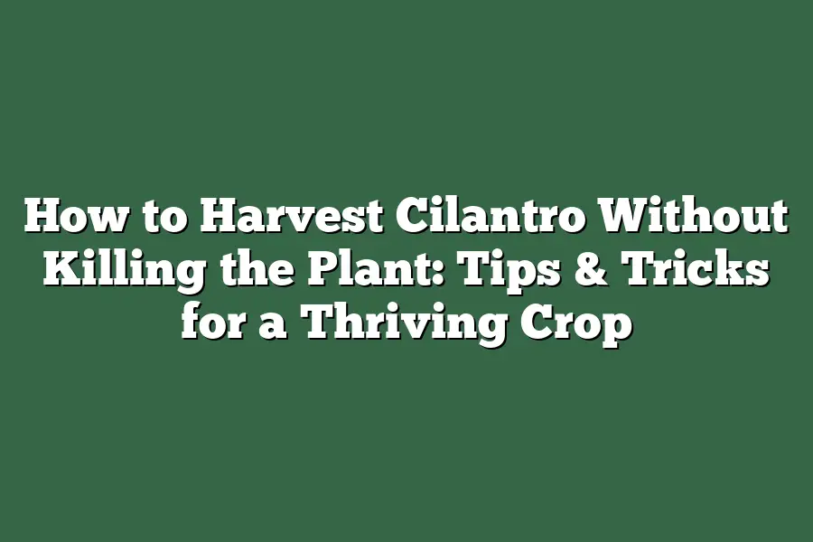 How to Harvest Cilantro Without Killing the Plant: Tips & Tricks for a Thriving Crop