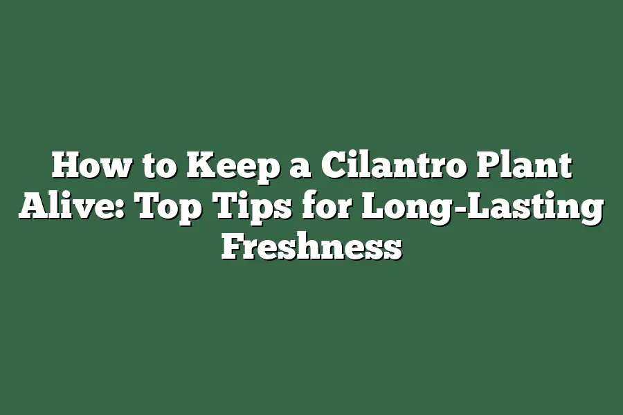 How to Keep a Cilantro Plant Alive: Top Tips for Long-Lasting Freshness