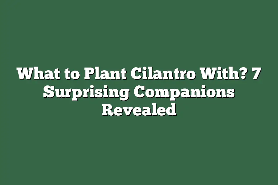 What to Plant Cilantro With? 7 Surprising Companions Revealed