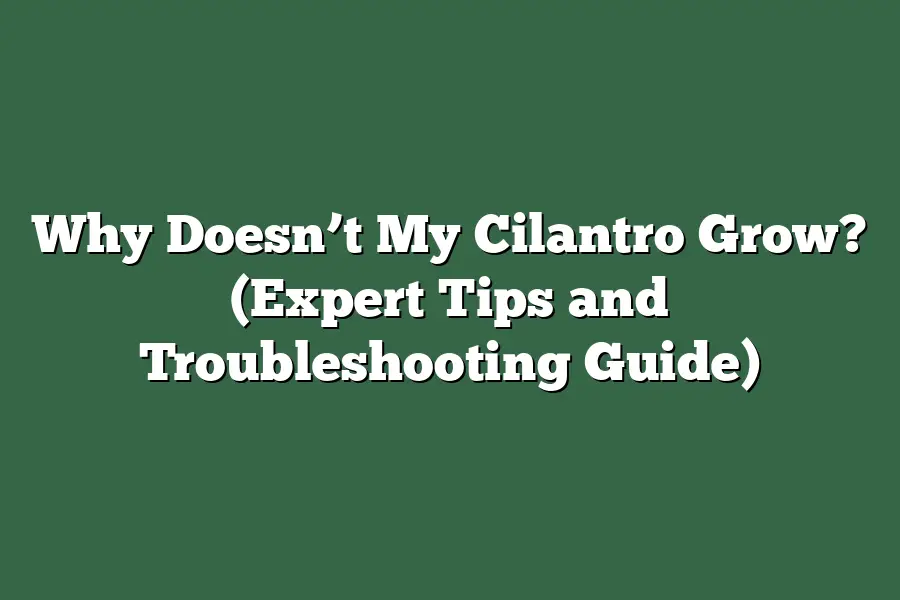 Why Doesn’t My Cilantro Grow? (Expert Tips and Troubleshooting Guide)